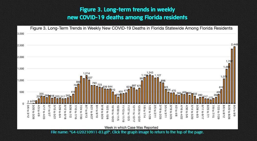COVID deaths in Florida